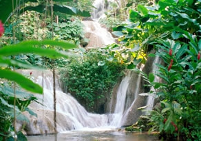 Paquete Jamaica